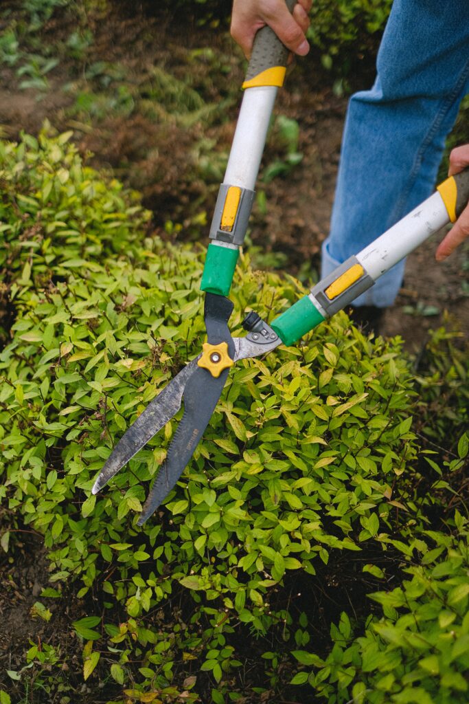 ground maintenance buckinghamshire