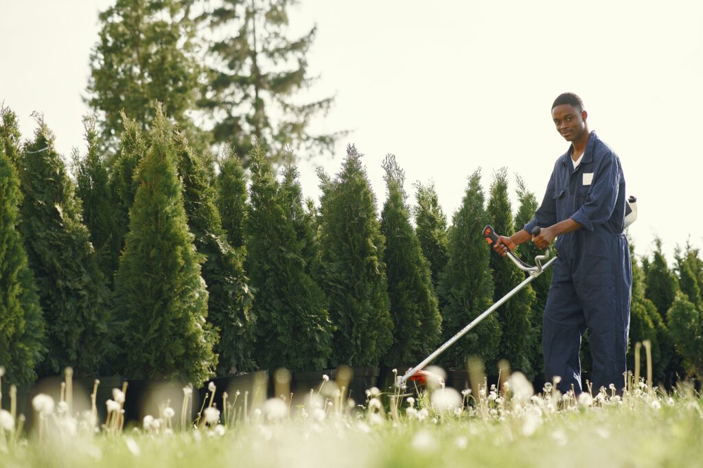 commercial ground maintenance